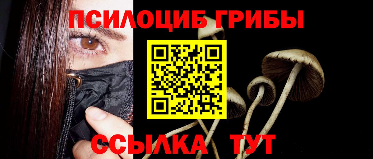 дарнет шоп  Псилоцибиновые грибы Psilocybe  Вход с VPN  Алексин 